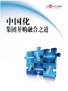 愛維龍媒 中國化集團(tuán)并購融合之道.jpg